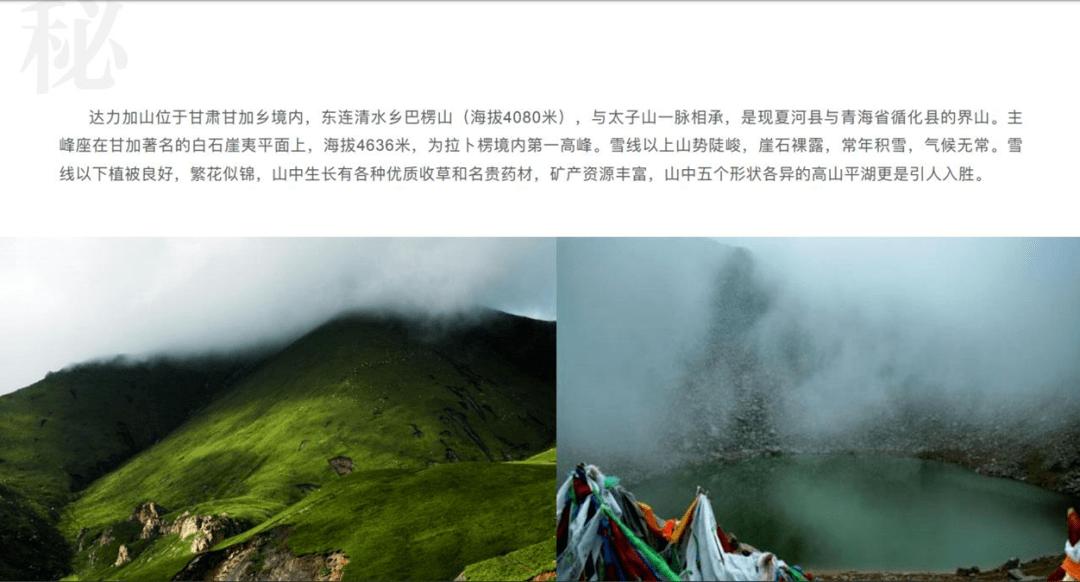 大理一公园养猫替小熊猫“顶岗”?园方澄清:正主藏树上了,猫负责抓老鼠