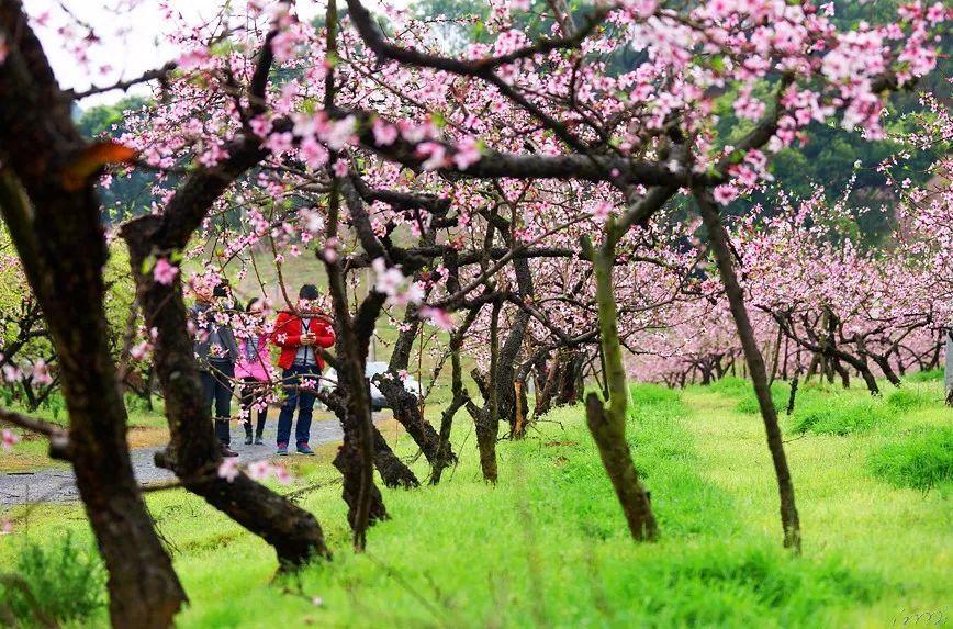宝可梦探险寻宝
