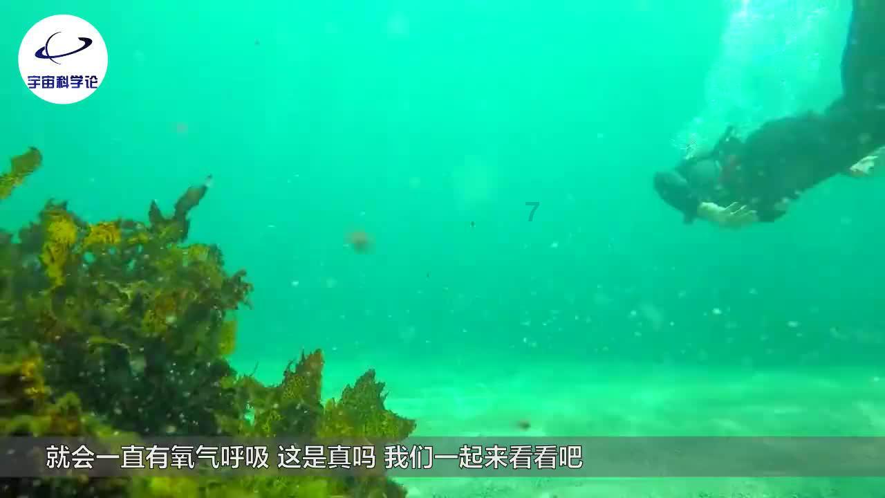 打工族的福音!华为nova12系列配置强劲、价格实惠!