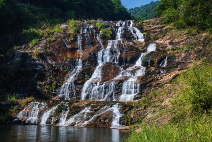 茂密丛林逃生