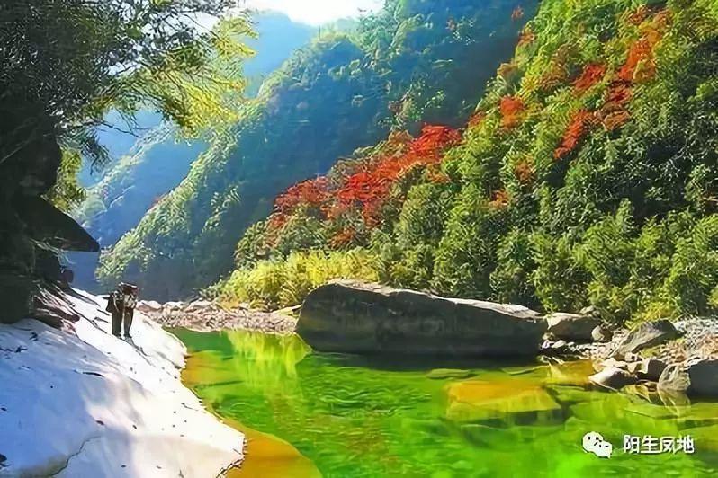 救援小袋熊