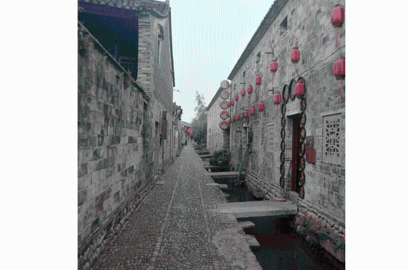 贾玲教练发声:只有亲历者才知道有多艰辛,诞生了新的贾玲!