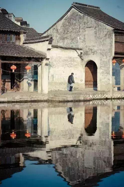 救援受困的长颈鹿
